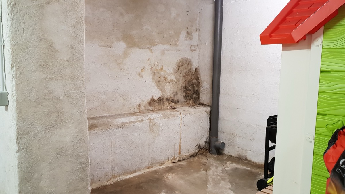 Infiltrations d'eau - Expertise humidité à Dijon